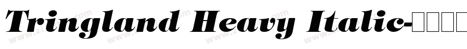 Tringland Heavy Italic字体转换